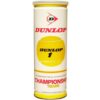 Dunlop Tire & Rubber Corp., Championship