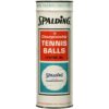 A. G. Spalding & Bros., Championship