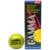 Gamma Sports, Championship
