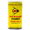 Dunlop Tire & Rubber Corp., Fort
