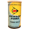Dunlop Tire & Rubber Corp., Fort